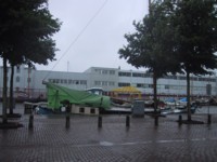 IMG_3950.JPG