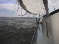 IMG_4315.JPG