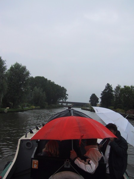 IMG_3710.JPG