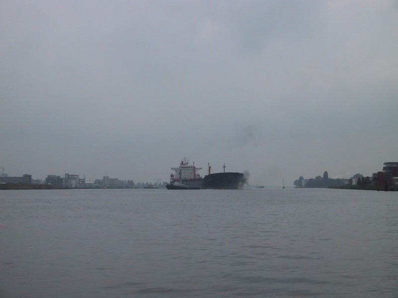 IMG_3755.JPG
