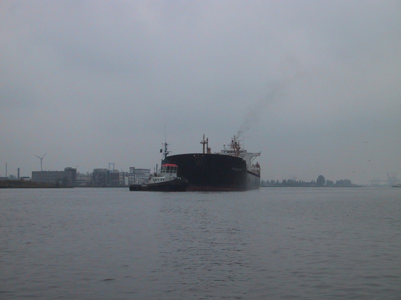 IMG_3756.JPG