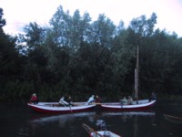 IMG_3321.JPG
