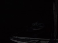 IMG_3451.JPG
