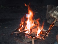 IMG_3584.JPG