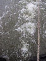 IMG_3714.JPG