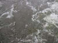 IMG_3718.JPG
