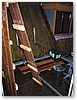 IMG_2037.JPG