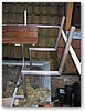 IMG_2202.JPG