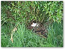 IMG_3442.JPG