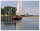 IMG_3517.JPG