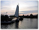 IMG_3523.JPG