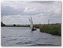 IMG_4230.JPG