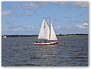 IMG_4250.JPG