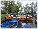 IMG_5069.JPG