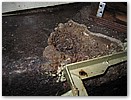 IMG_1863.JPG