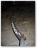 IMG_2877.JPG
