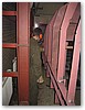 IMG_2935.JPG