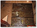 IMG_5270.JPG