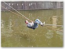 IMG_5654.JPG