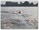 IMG_5982.JPG