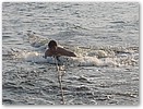 IMG_5983.JPG
