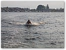 IMG_5984.JPG