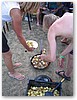 IMG_7147.JPG
