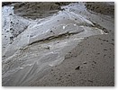 P8020120.JPG