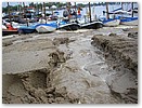 P8020125.JPG