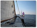 IMG_1917.JPG