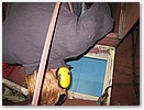 sleper0705-028.JPG