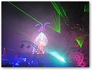 IMG_7994.JPG