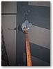 IMG_8740.JPG