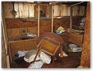 IMG_1154.JPG