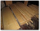 IMG_1238.JPG