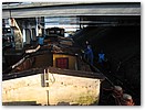 IMG_1589.JPG