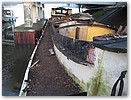 IMG_1596.JPG