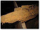 IMG_1613.JPG