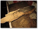IMG_1614.JPG