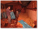 IMG_1670.JPG