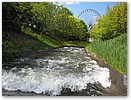 IMG_5231.JPG