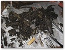 IMG_5238.JPG