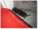 IMG_6169.JPG