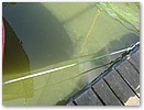 IMG_8330.JPG