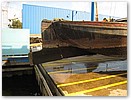 IMG_8596.JPG