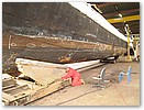 IMG_9196.JPG