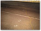 IMG_9212.JPG