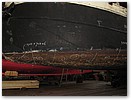 IMG_9225.JPG