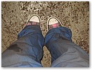 IMG_9320.JPG