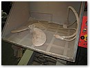 IMG_9332.JPG
